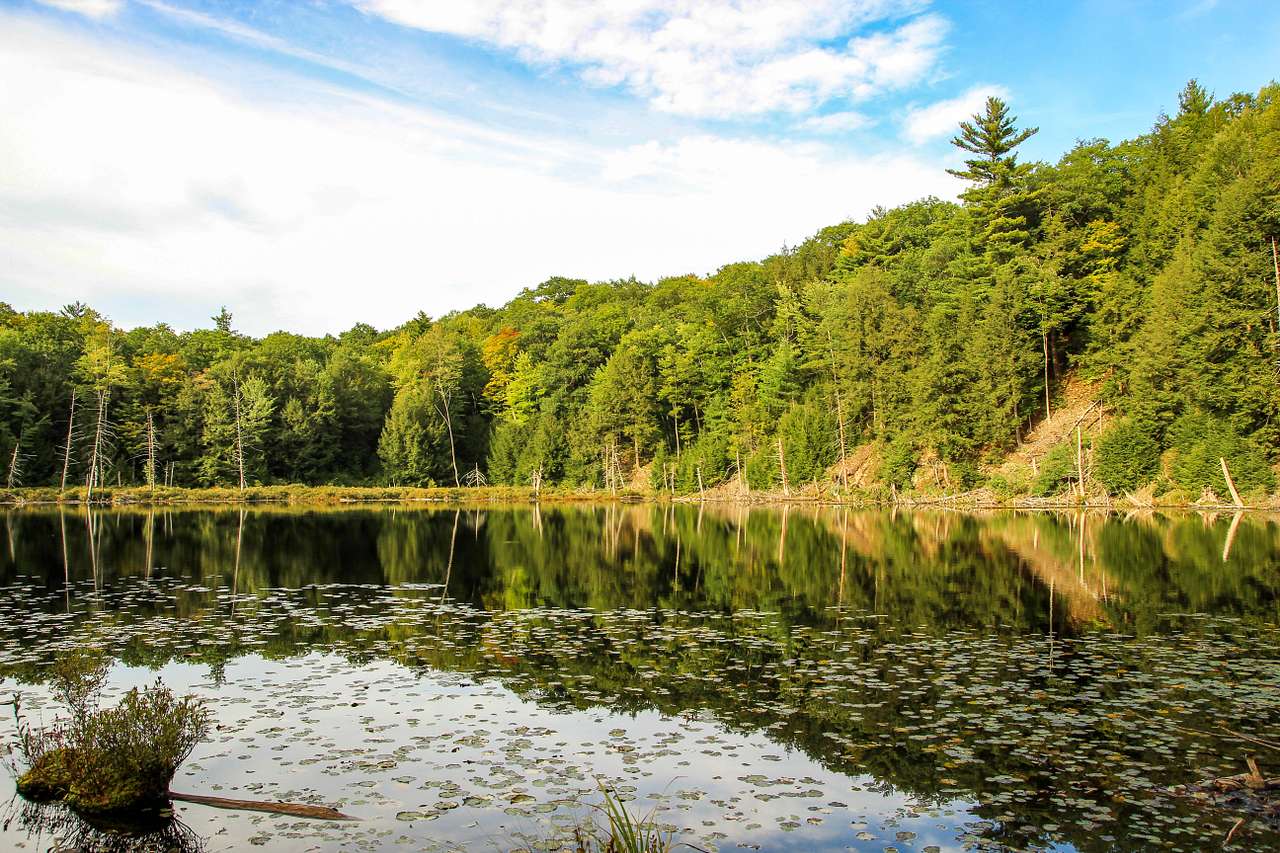 The view at High Pond