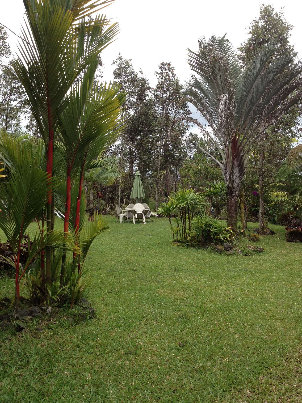 Yard