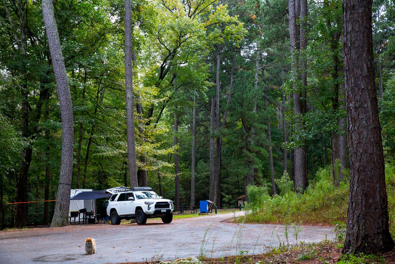 4 tent only sites are in their own quiet area with large towering trees, trash bins right at camp, well done tent pads and picnic tables for each site. The sites are also right at the entrance to 3 trail heads and the lake is just about 75 yards away!