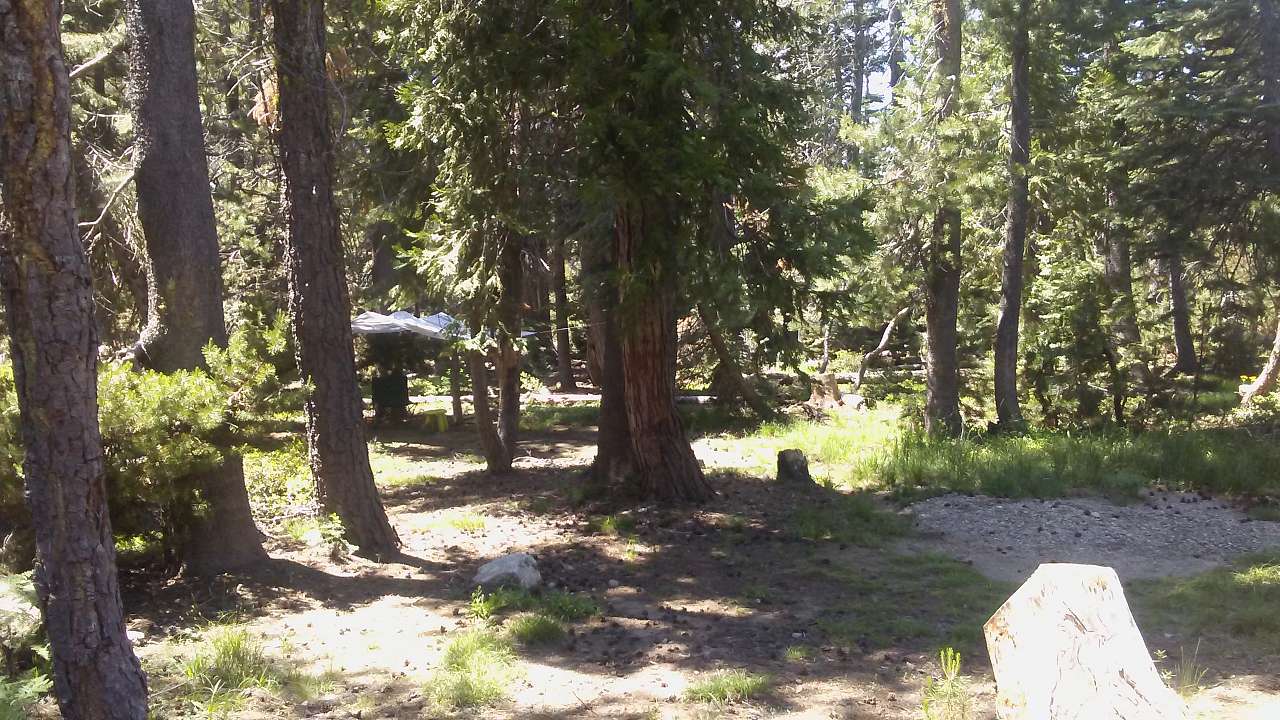 Equestrian campsite is big