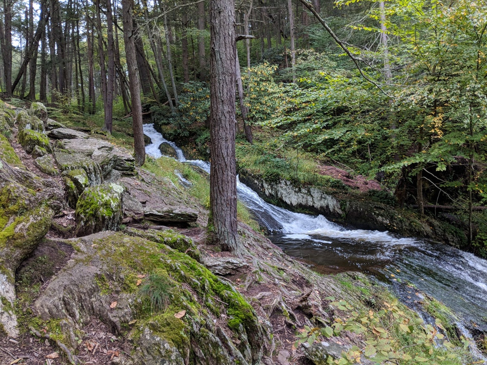 Hiking Tillman Ravine trail.