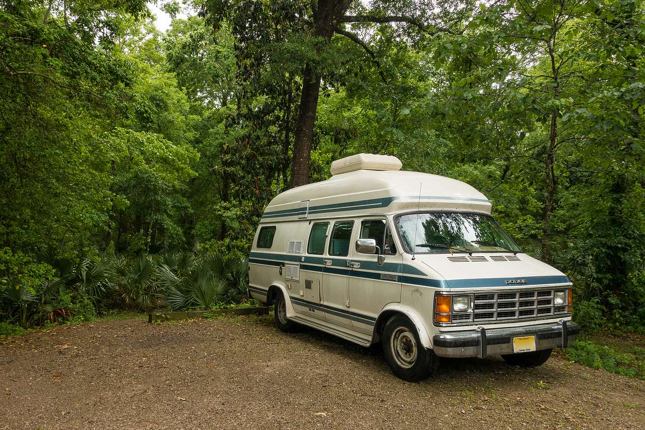 A campsite in Palmetto Island State Park.