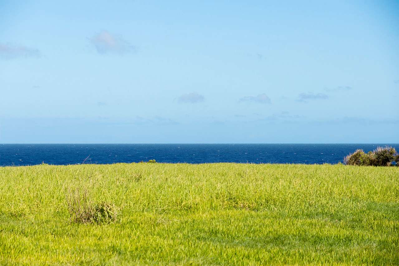Palikū Campsite