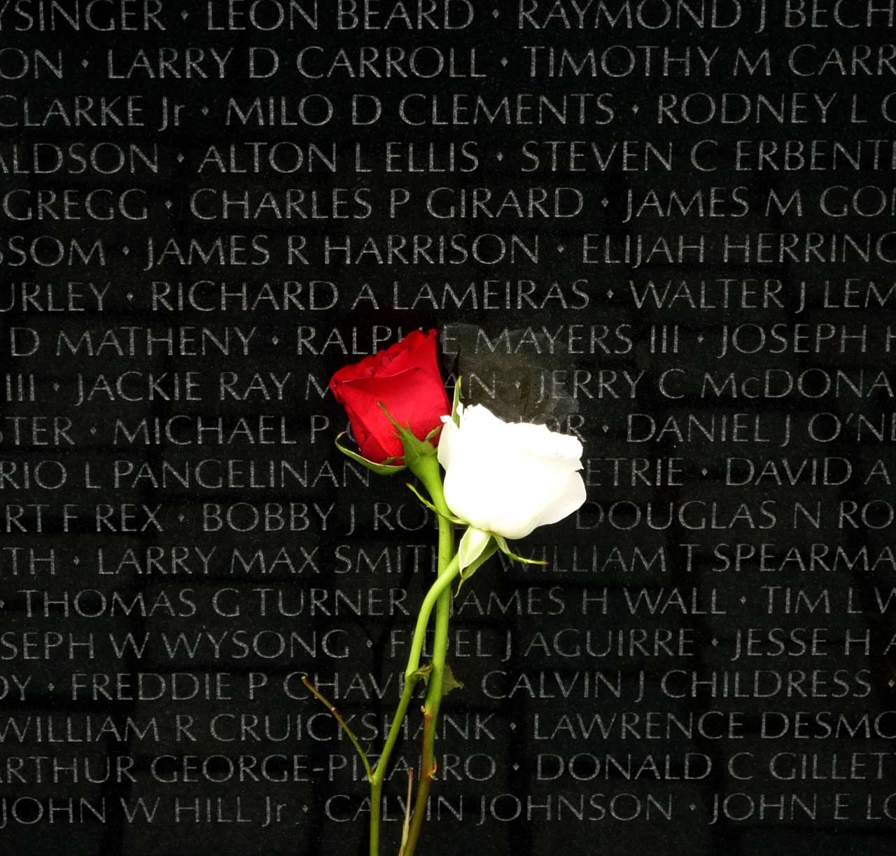 Vietnam Veterans Memorial