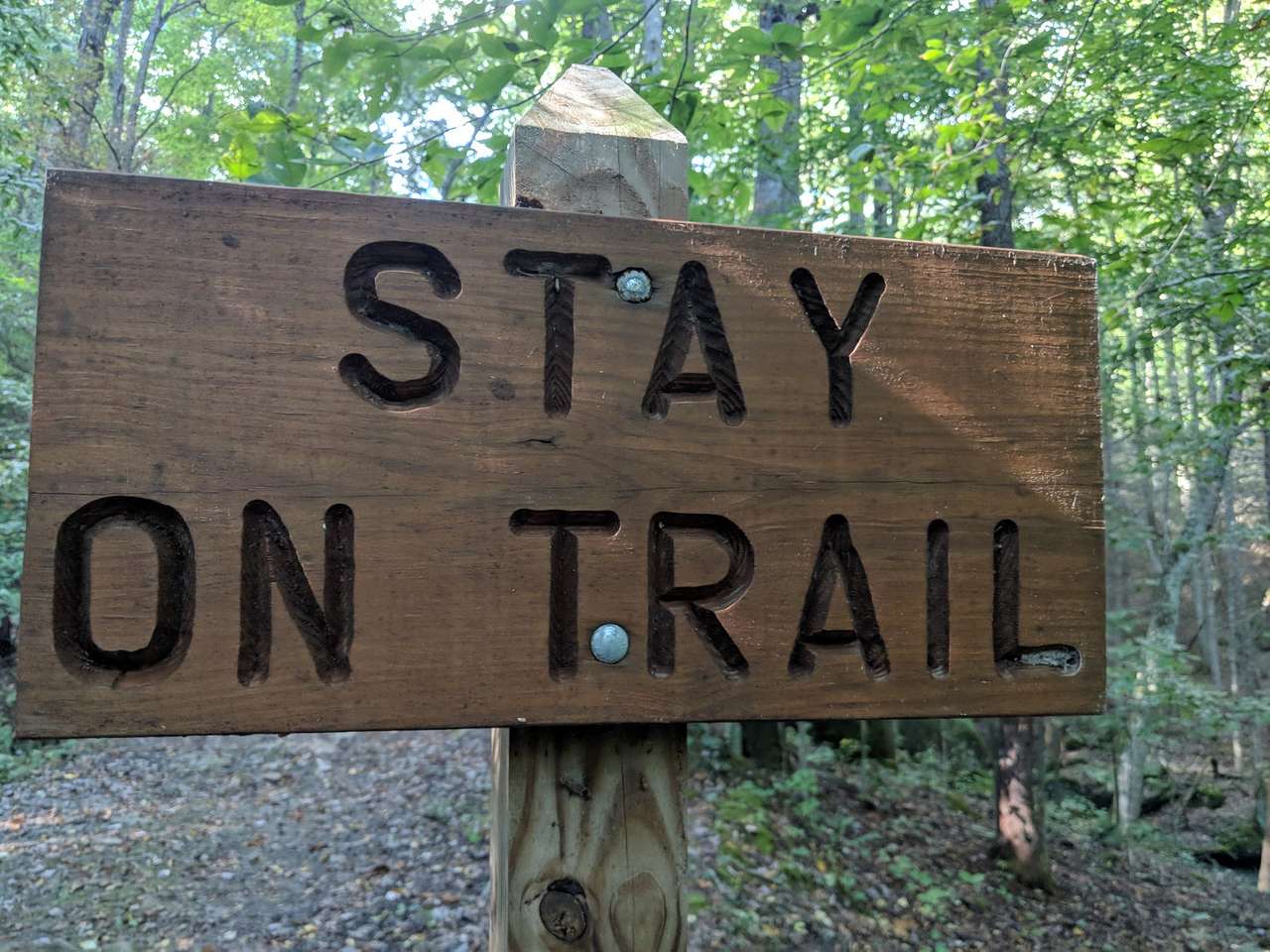 Trails are clearly marked. We did wonder if we were on the correct trail to Bird Mountain campsite, but once we got up the Castle Rock, there was a sign pointing out the way!