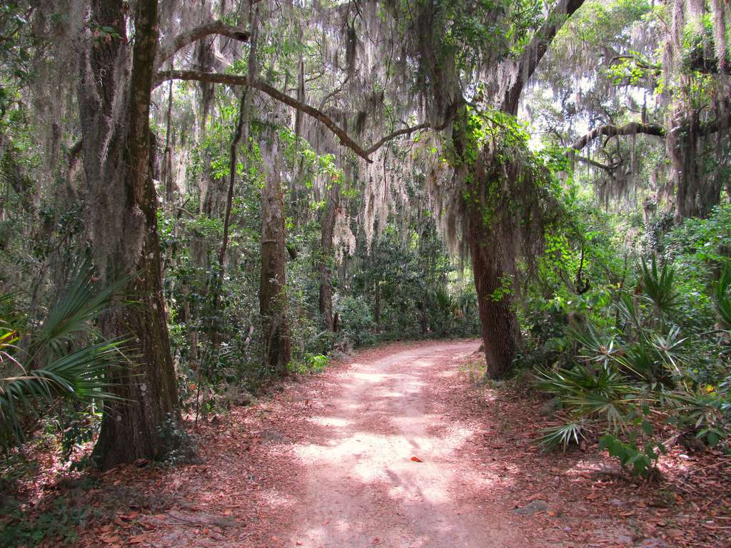 Timucuan Ecological & Historic Preserve