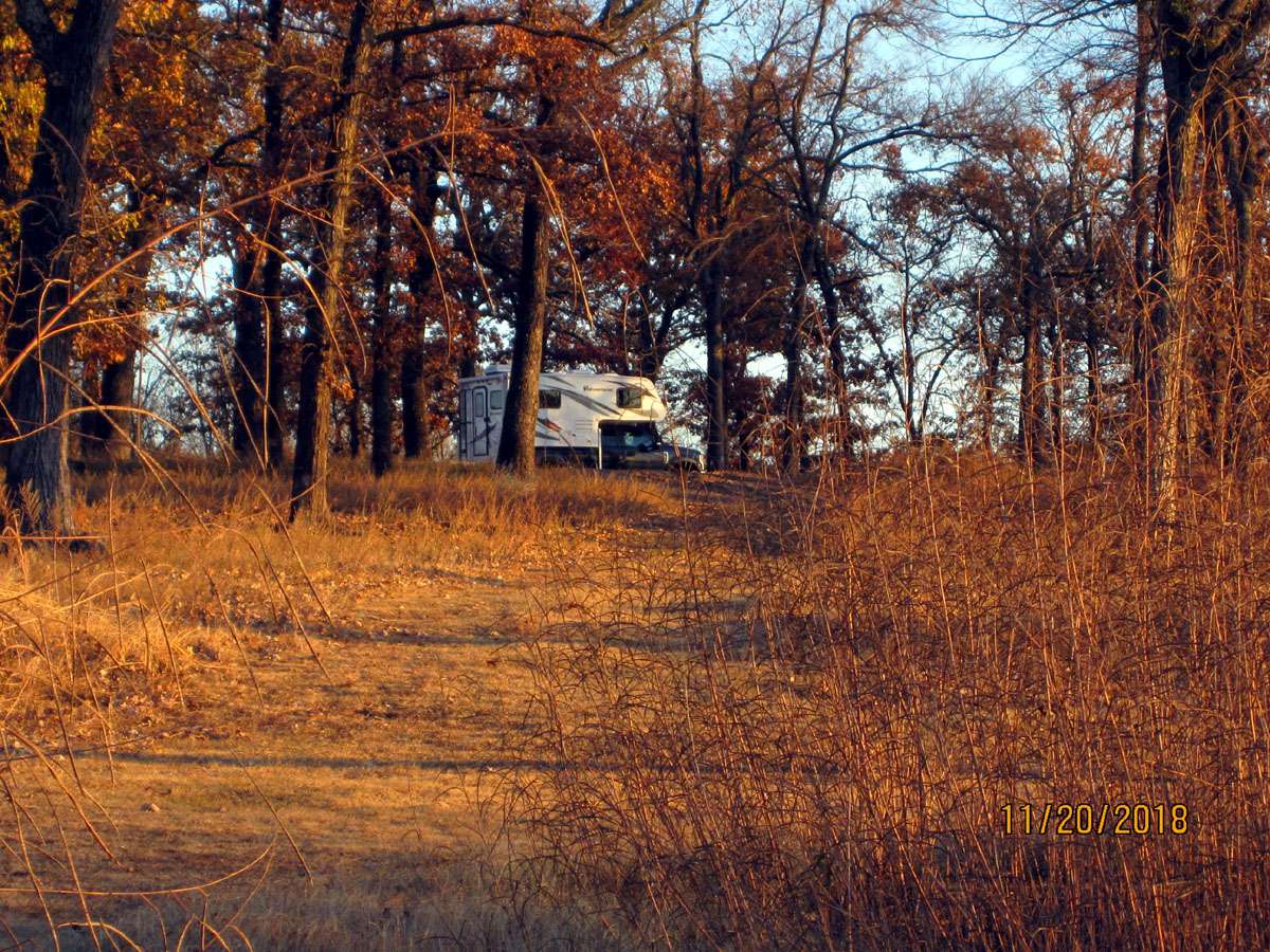 Oak/Hickory savanna throughout the campground