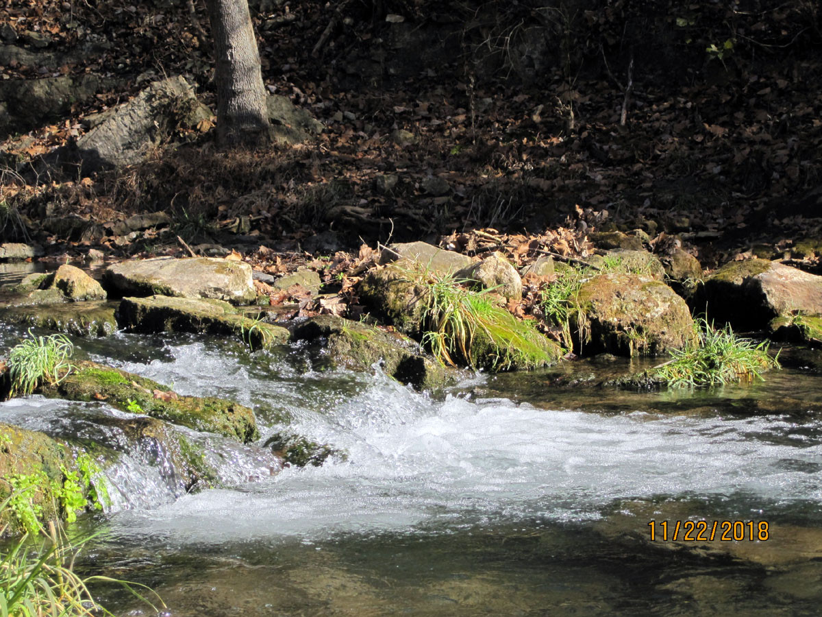 Mini rapids between each trout-filled pool