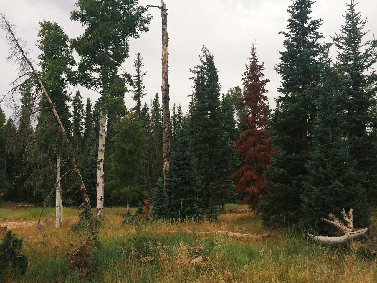Demotte Campground