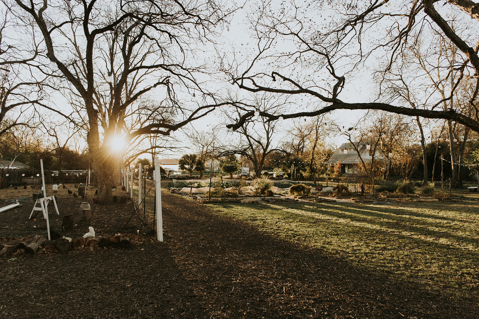 Eden East Farm