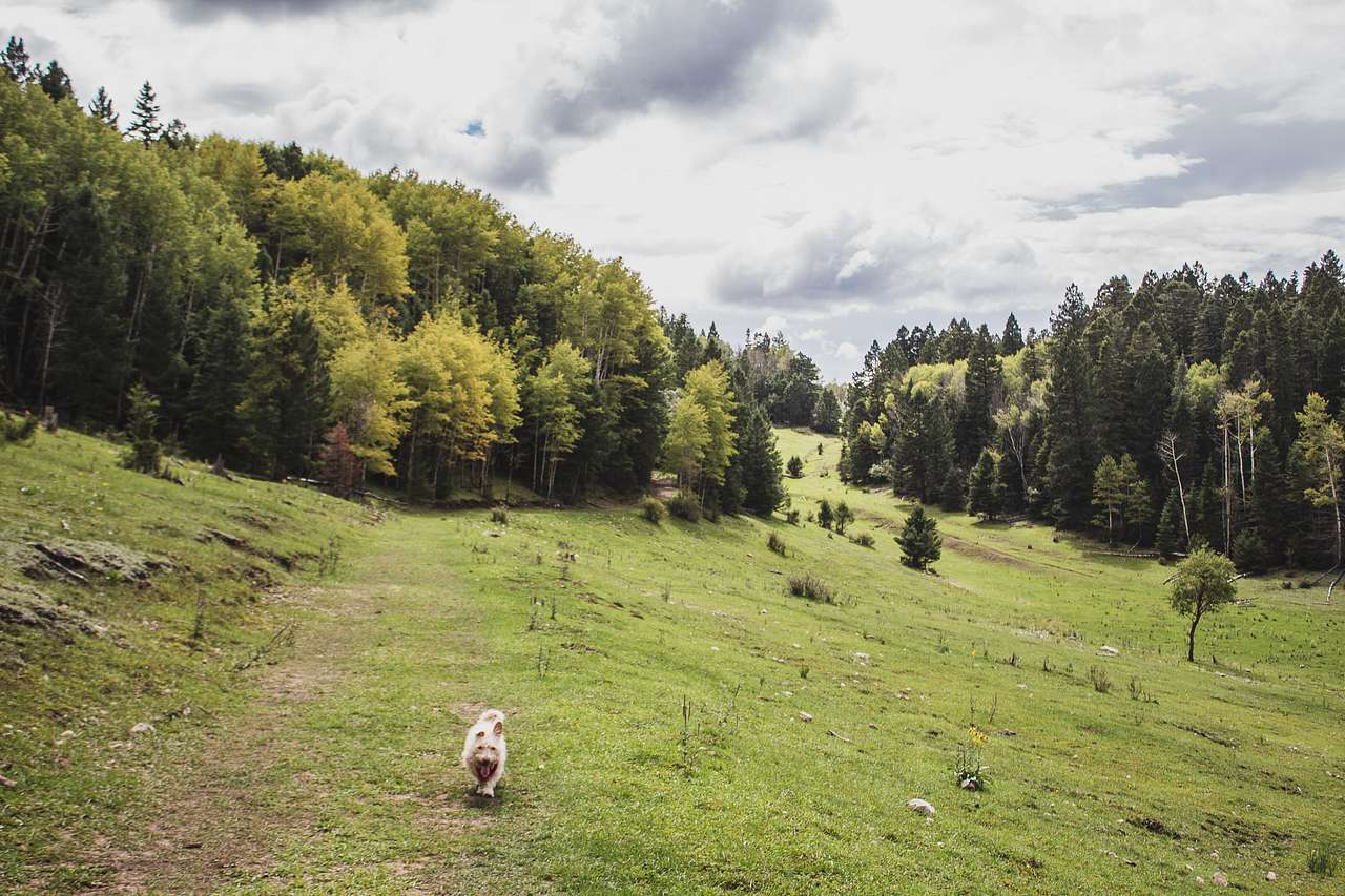 Upper Karr Recreation Area