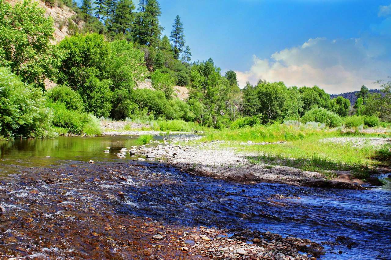 Gila National Forest