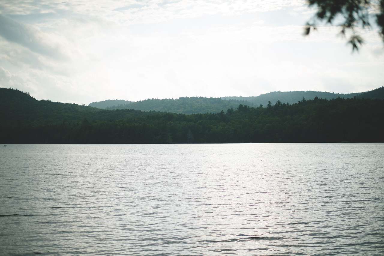 View of the pond from the campsite.