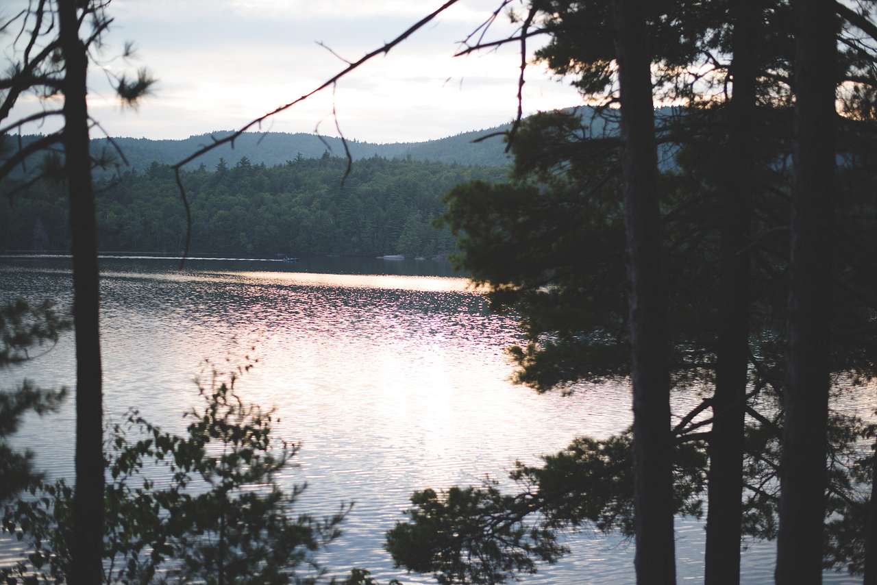 Evening view.