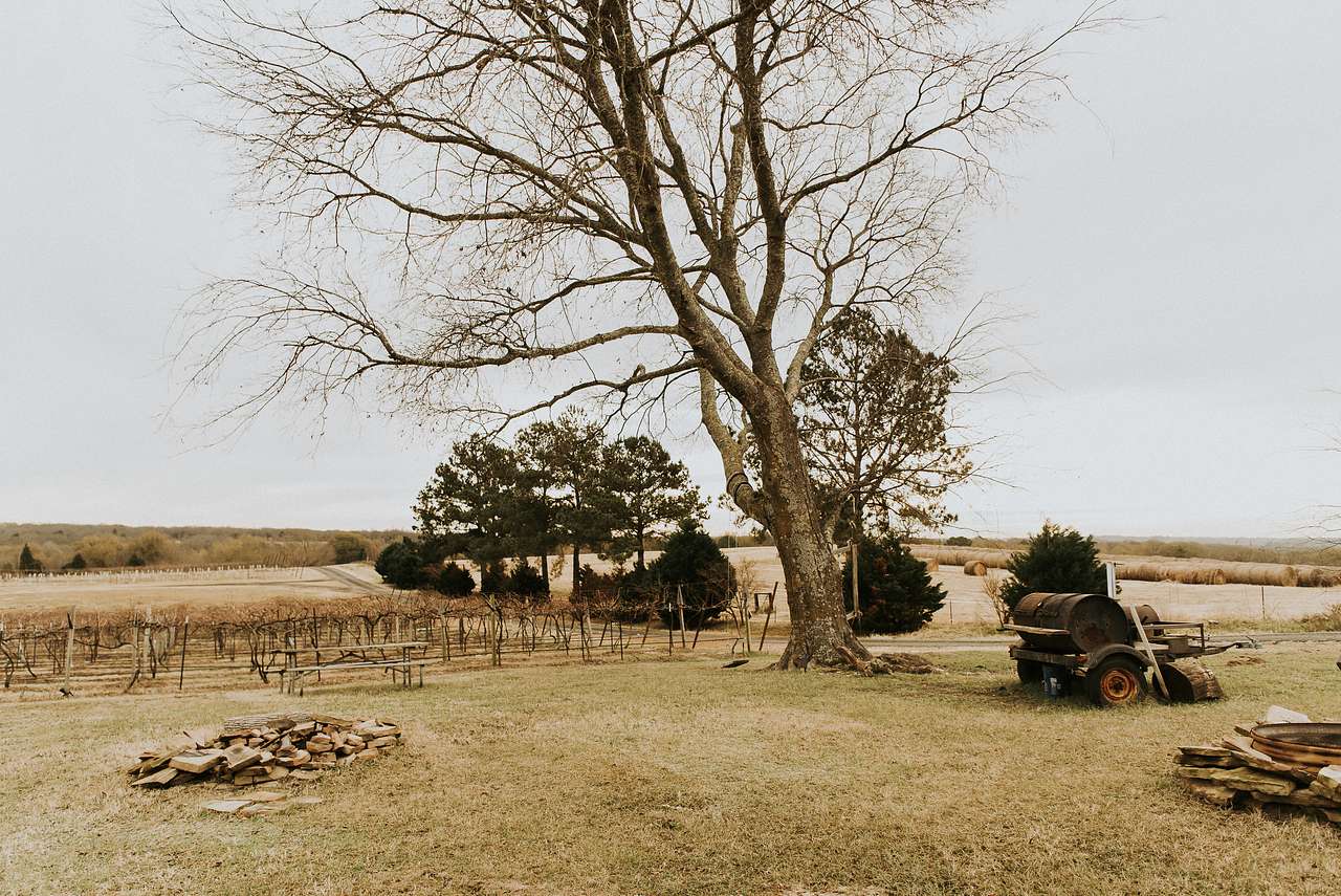 Tara Vineyard & Winery estate