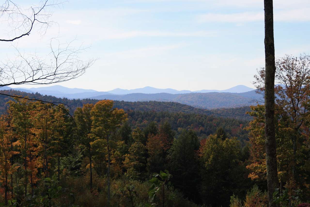 Sugar Wood Meadow Camping