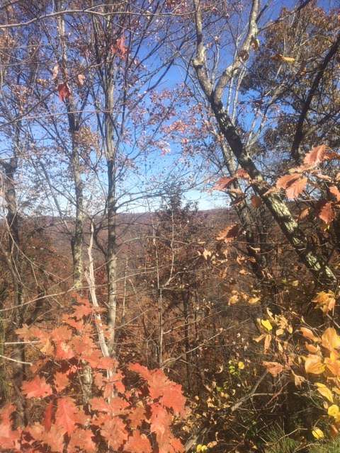 Beaver Lakes Campground LLC.