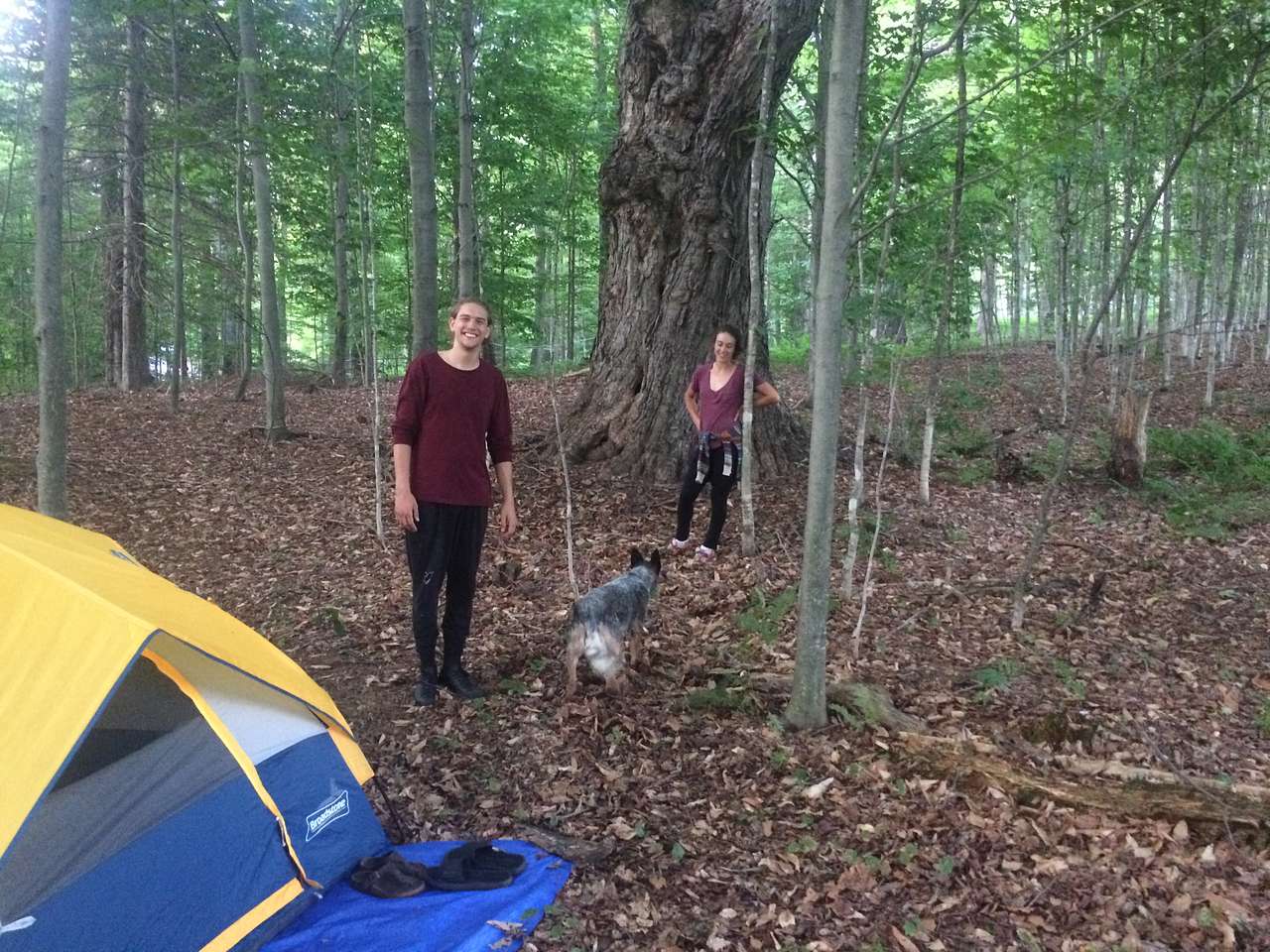 Sandiwood Farm Stay Experiences
