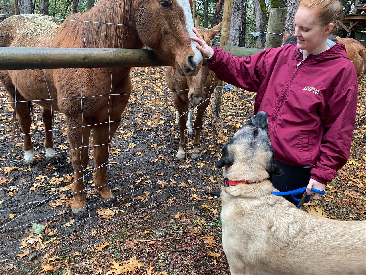 Odin and I checking out the locals