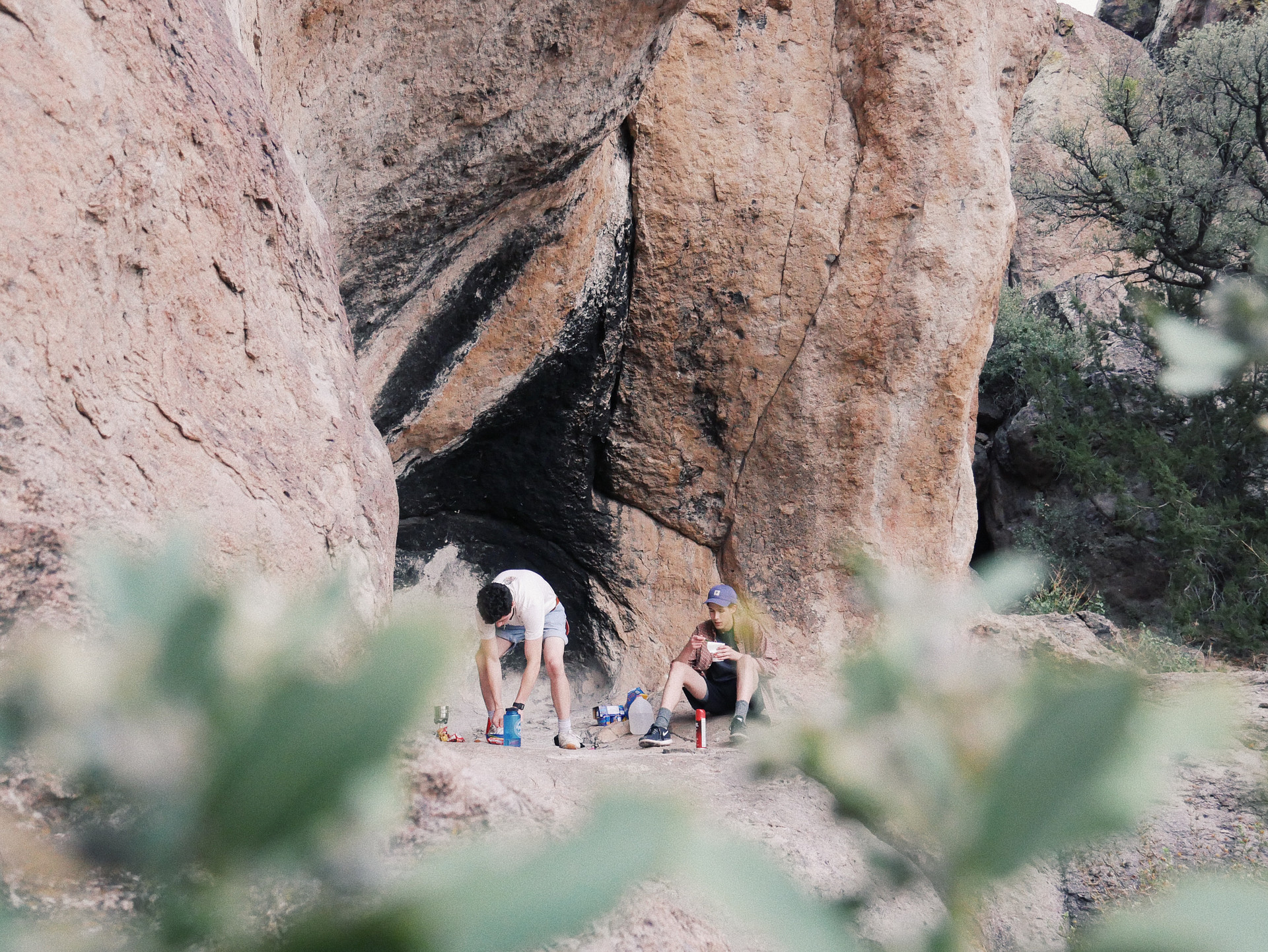 Cibola National Forest