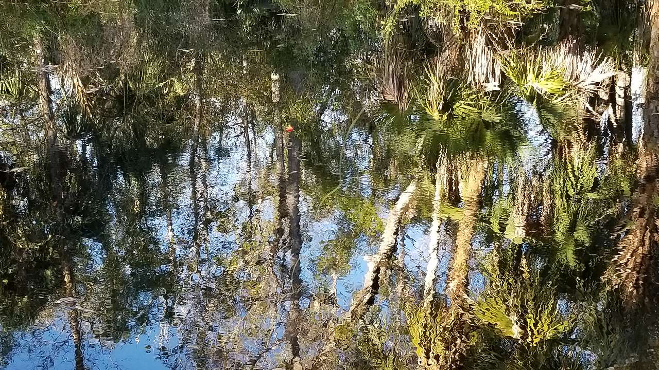 Hidden Pond Campground