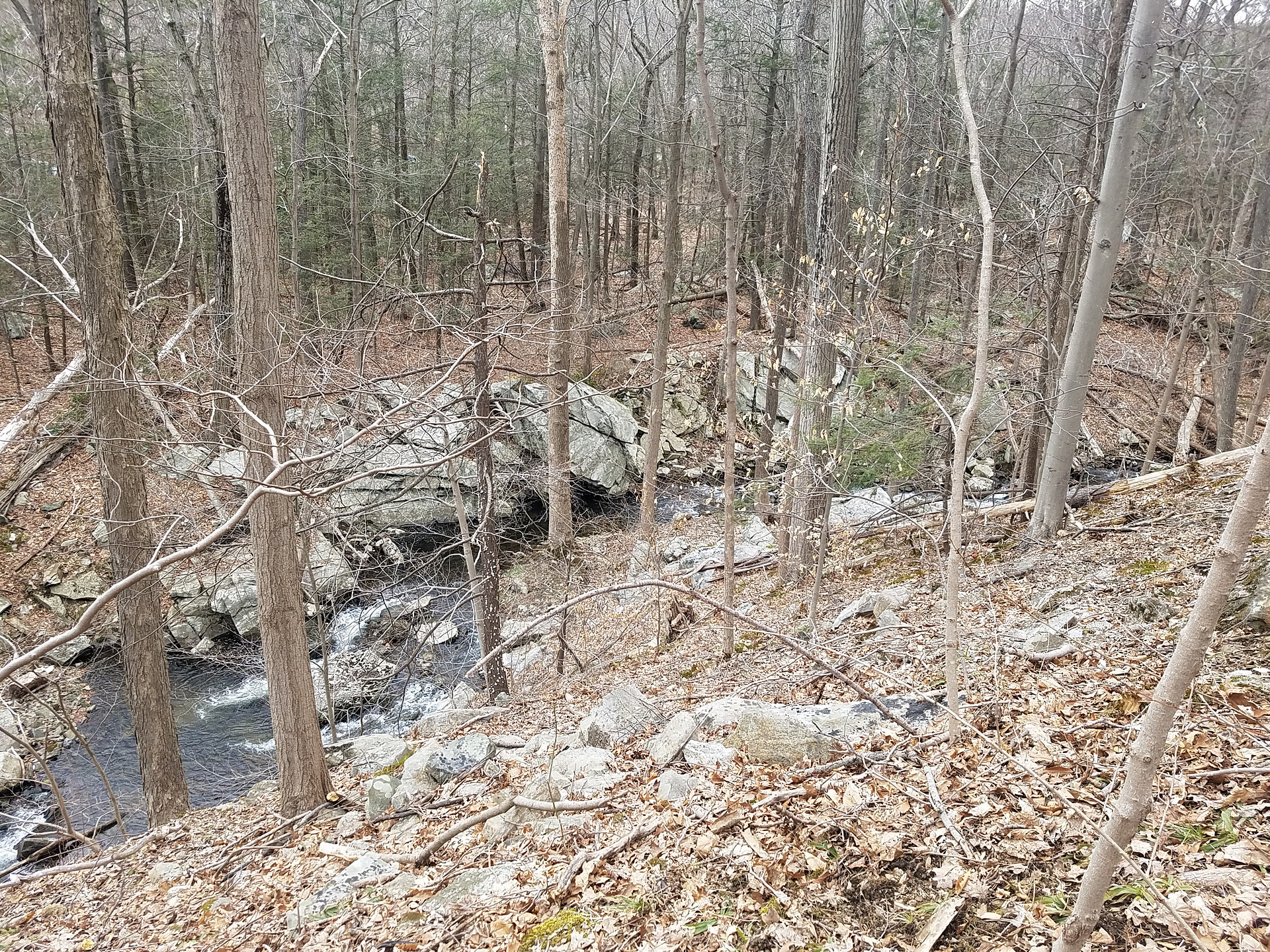 water is deep enough to take a dip, but very cold