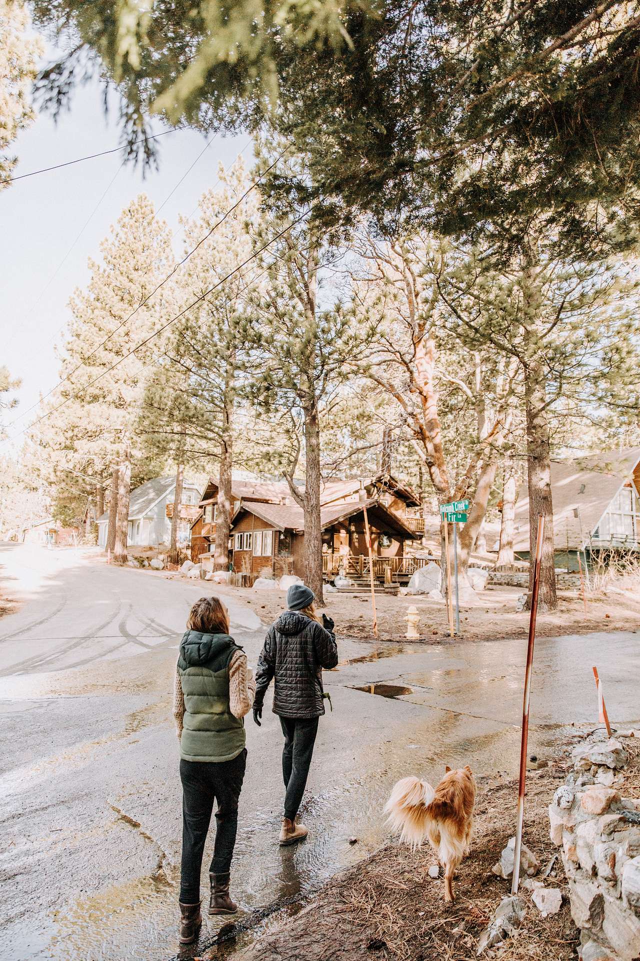 Such a cute neighborhood to walk around in!