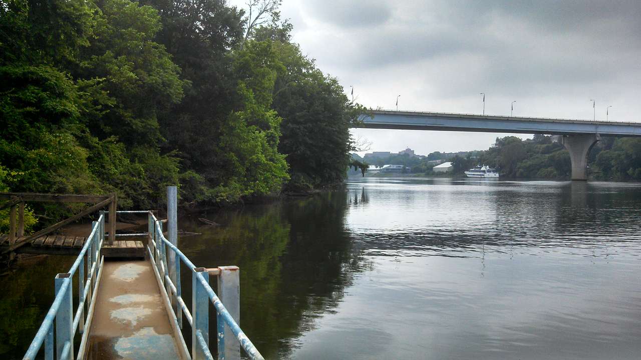 Maclellan Island- An Urban Oasis