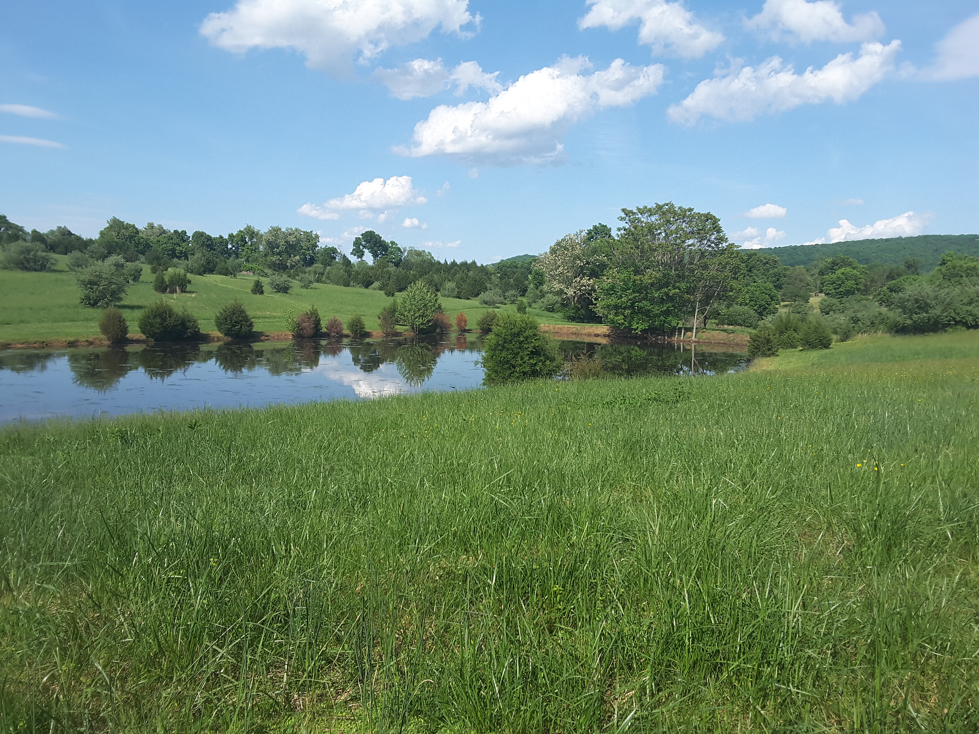 River Farm