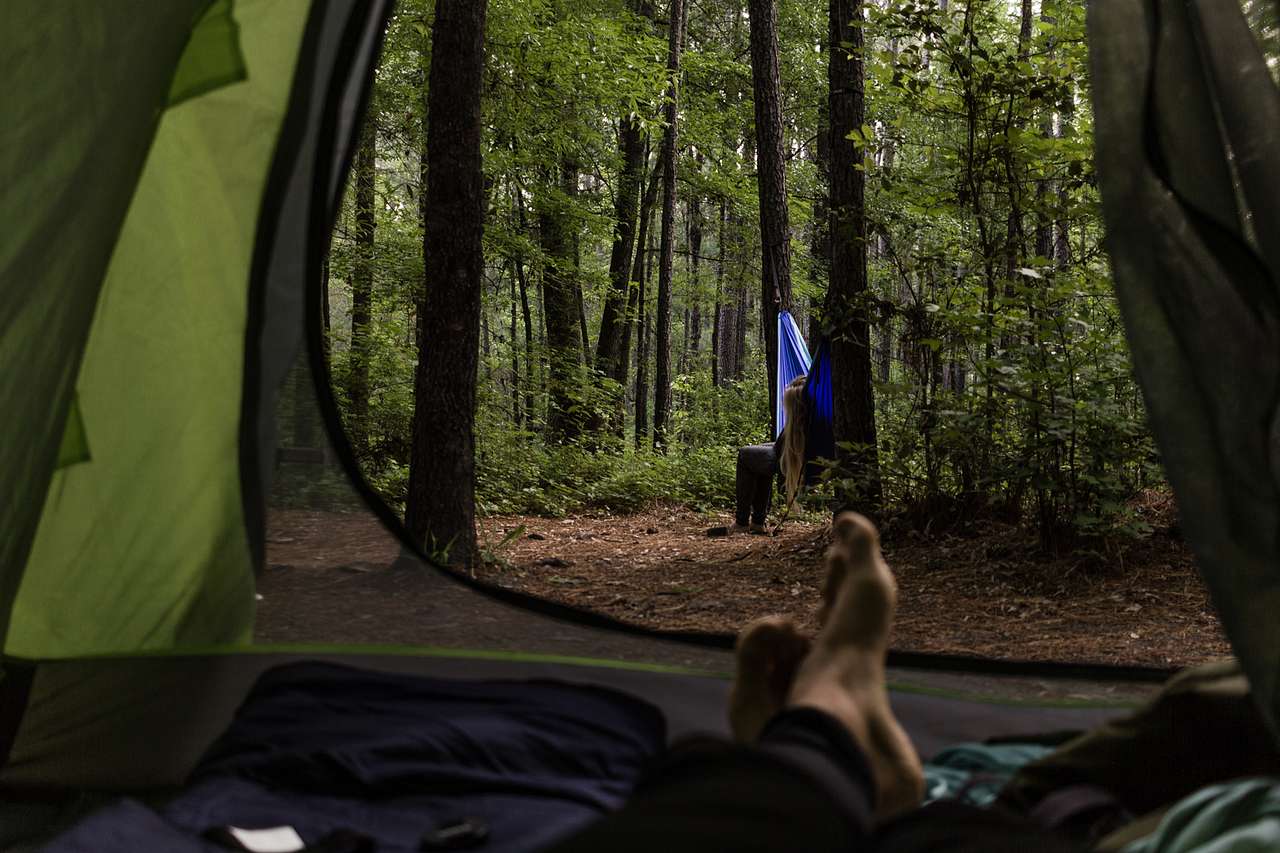 View from the tent