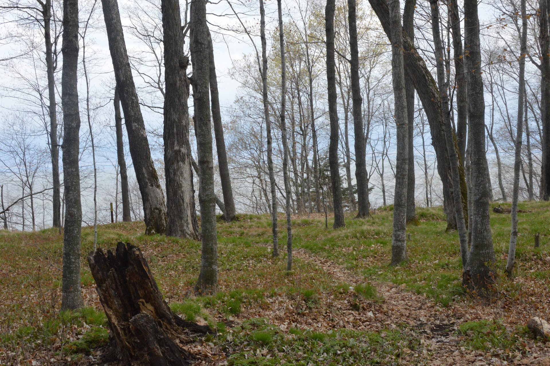 Porcupine Mountains Presque Isle Campground