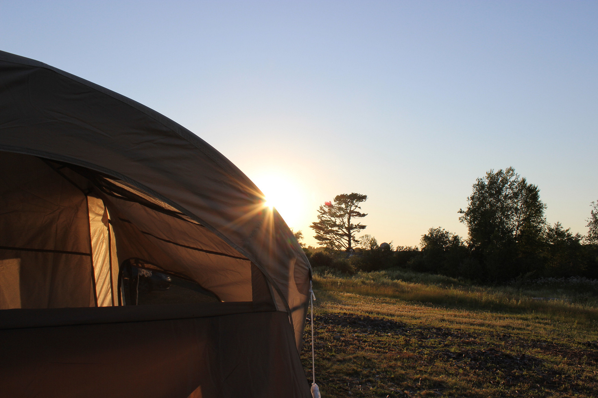 Camping With Wolves, Acadia Area