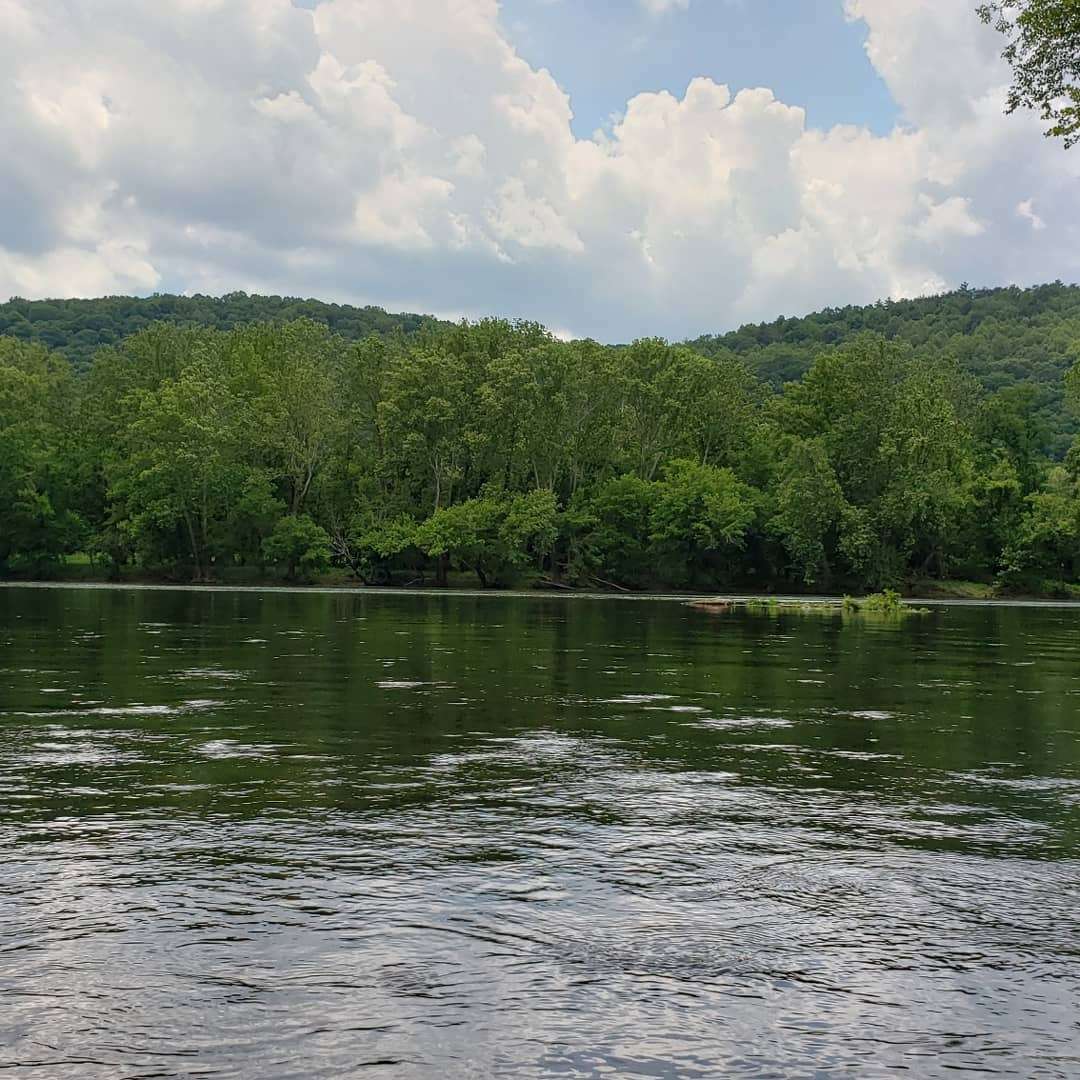 Bluestone Wildlife Management Area