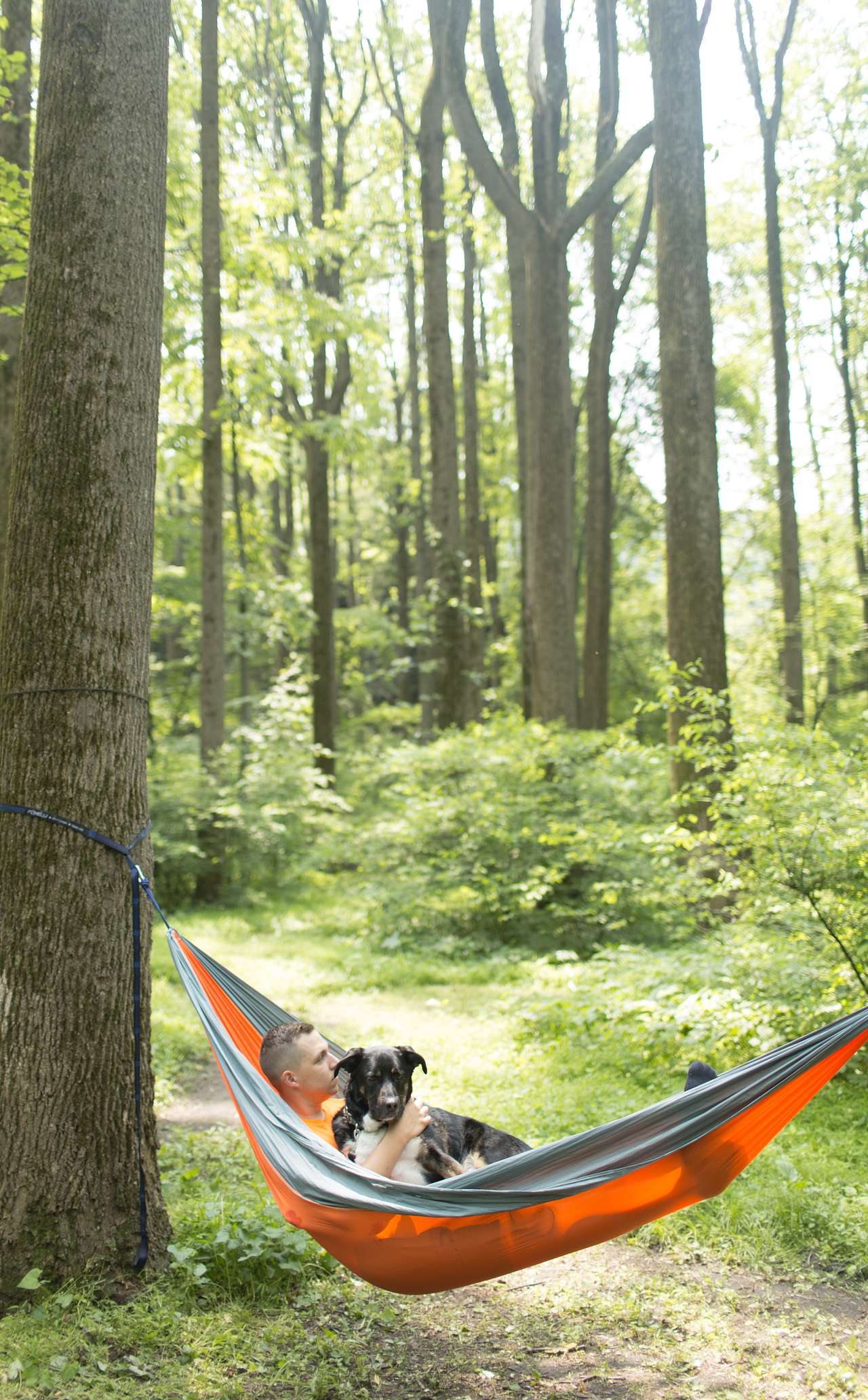 Plenty of wonderful hammocking trees surround the camping site.