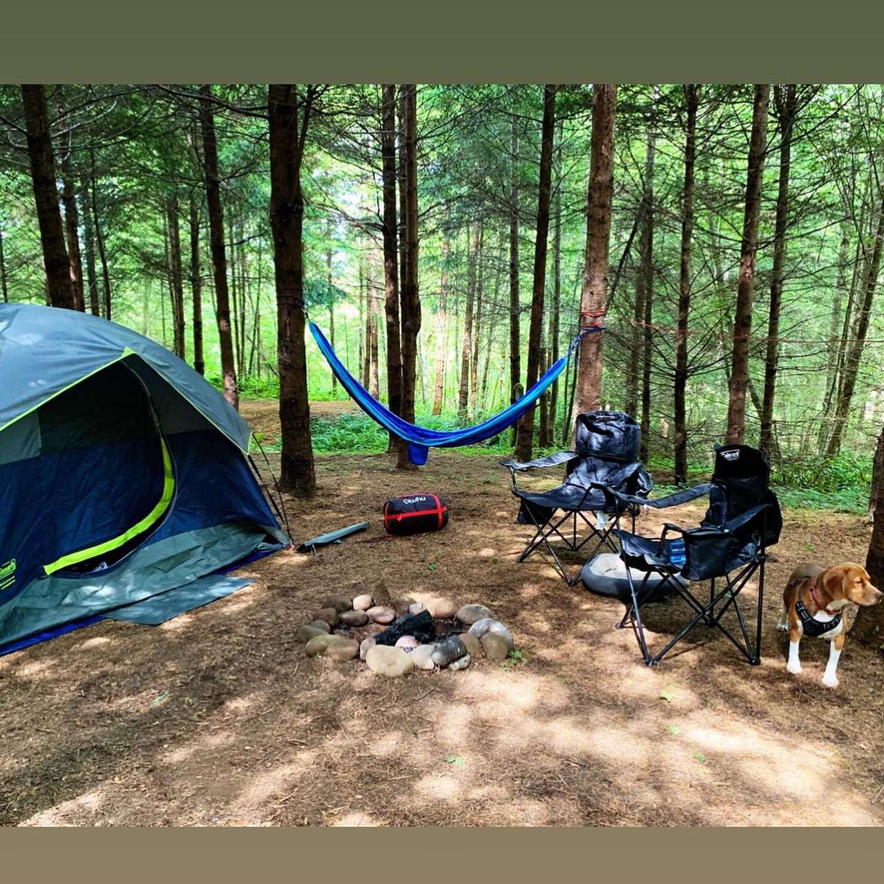 Grey Owl Hollow