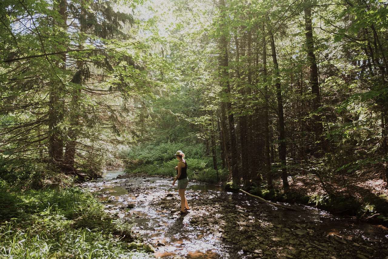 Gorgeous creek you can dip your toes in. 