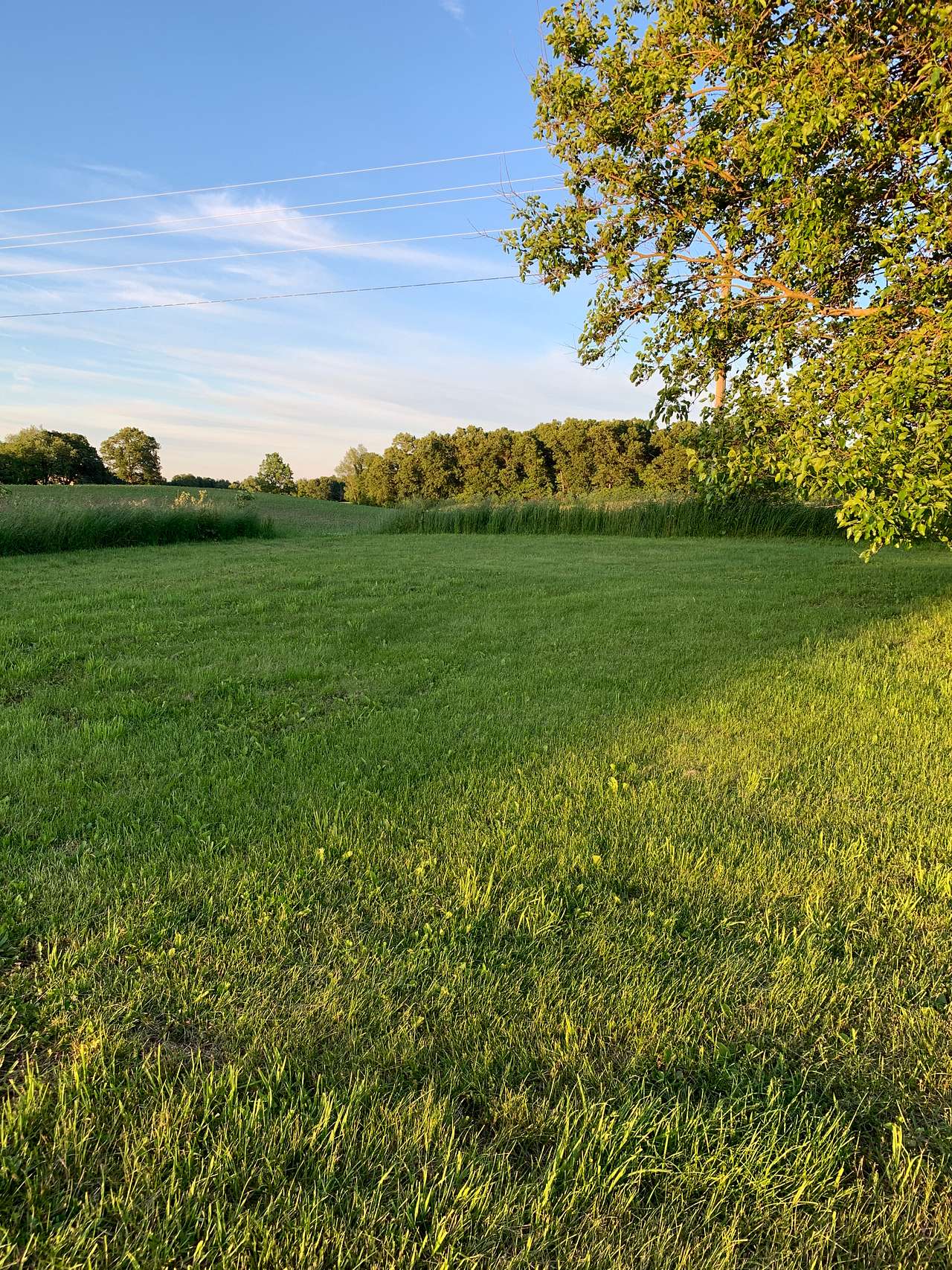 Camp area