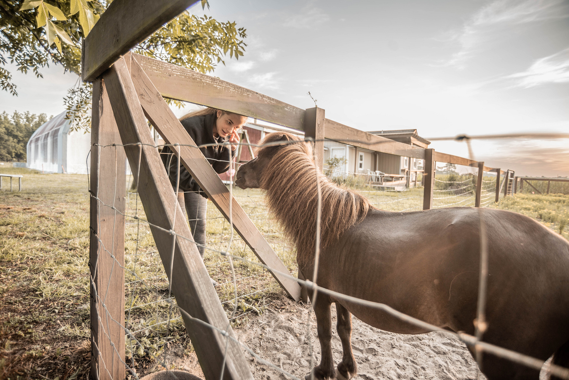 Bright Star Farm