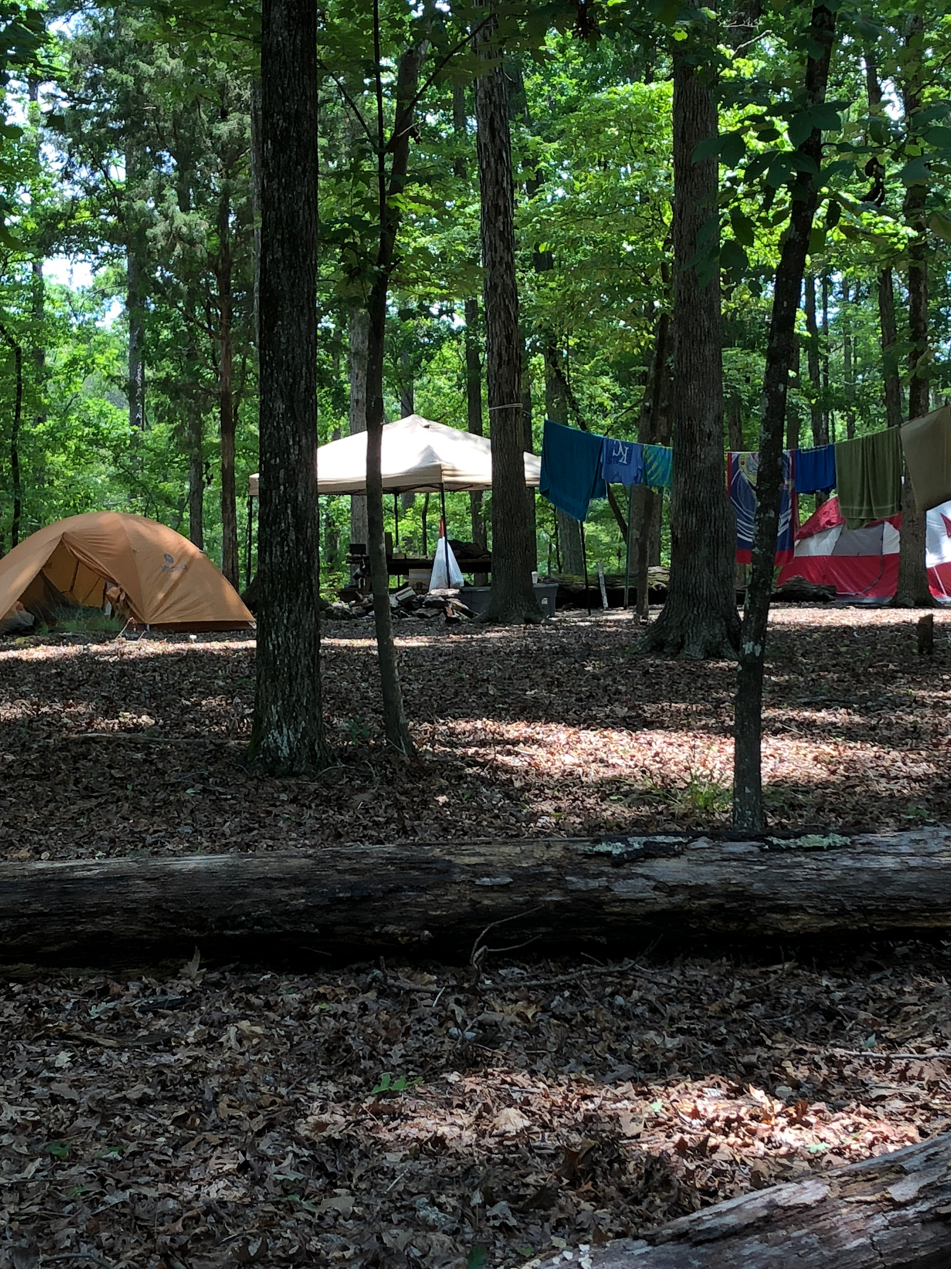 Primitive Campsite 1.  Great shade and spacious.  Picnic table provided. Set your clock by the birds and don't miss the fire fly show at 9:00 each night.  