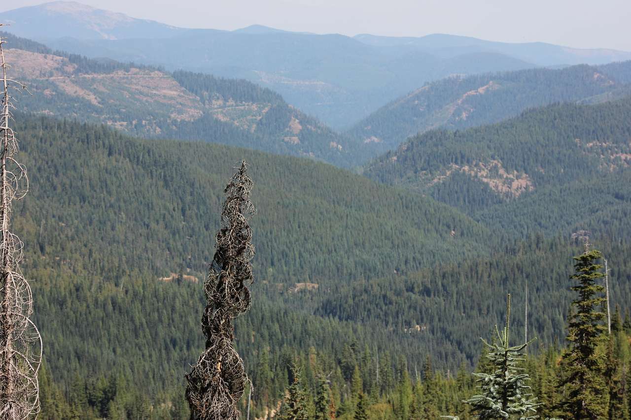 The views are spectacular