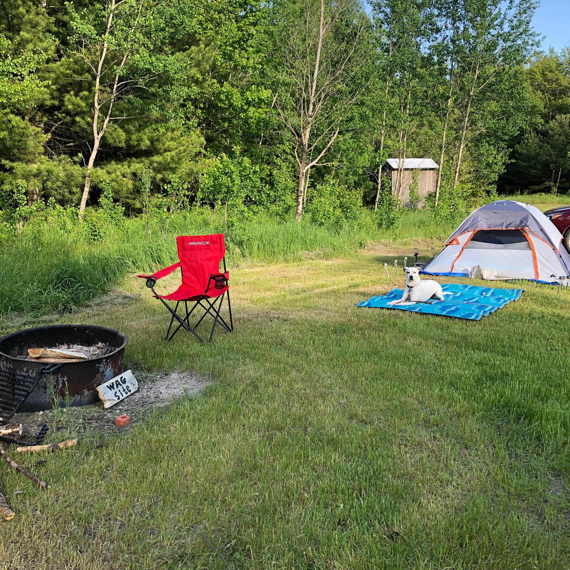 Hiawatha National Forest