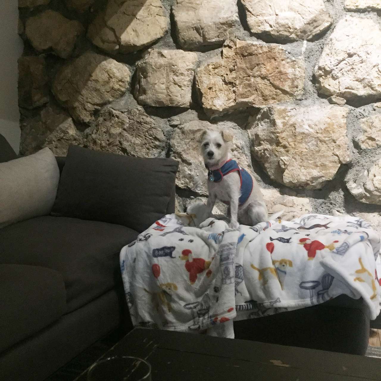 The Rock Loft
