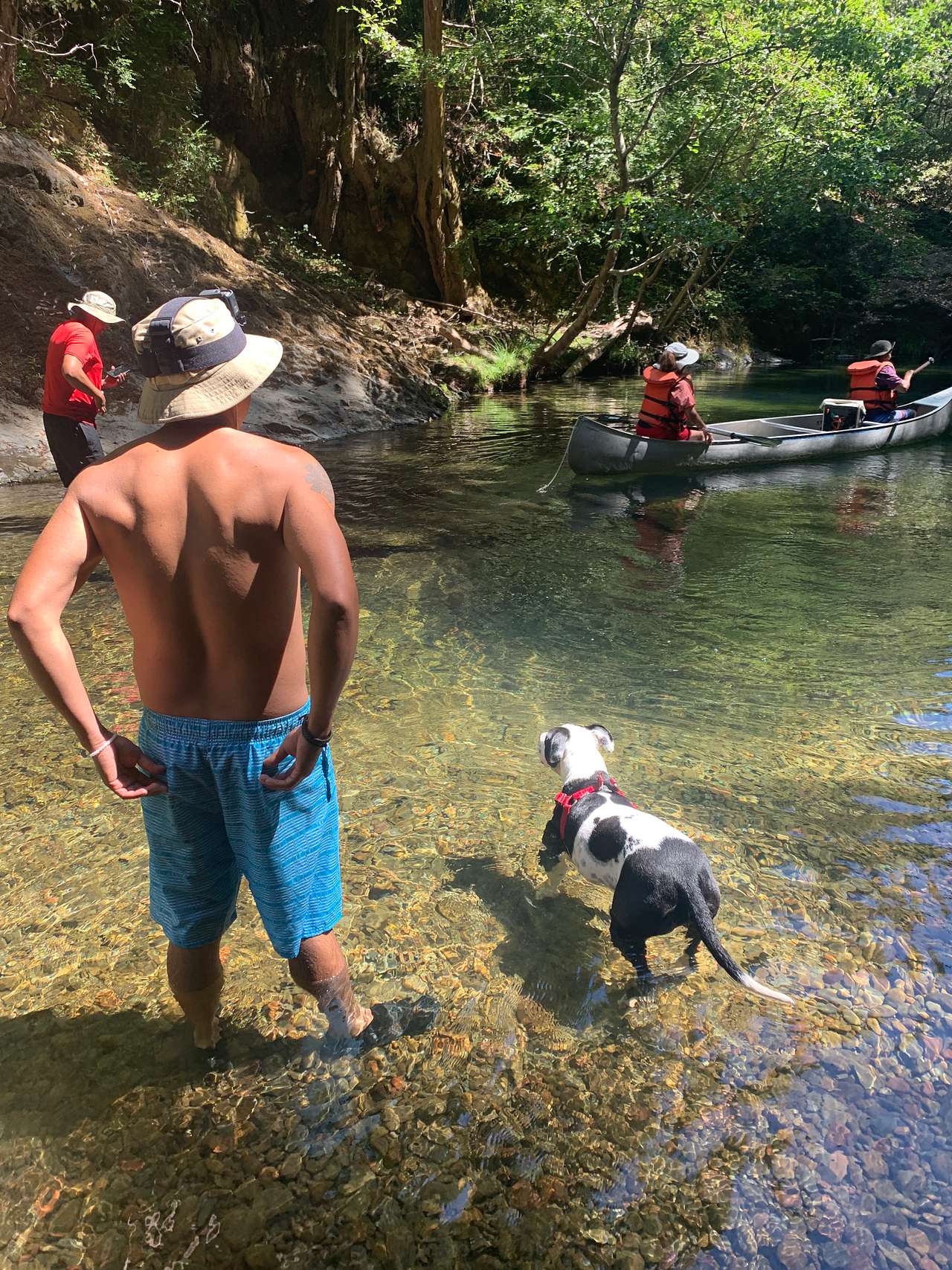 Camp Noyo