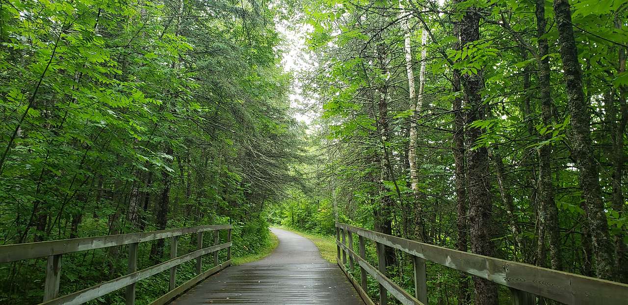 This boardwalk was on the bike trail. Very beautiful, but tons of skeeters!