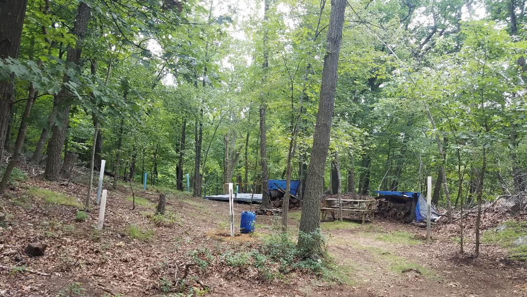 site with platform and picnic table 