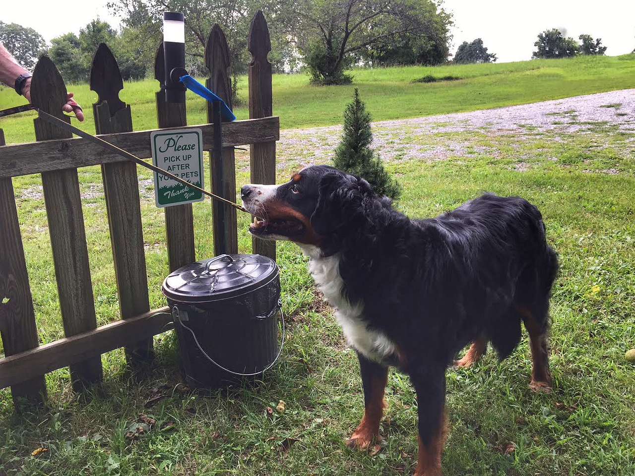 Pets are welcome