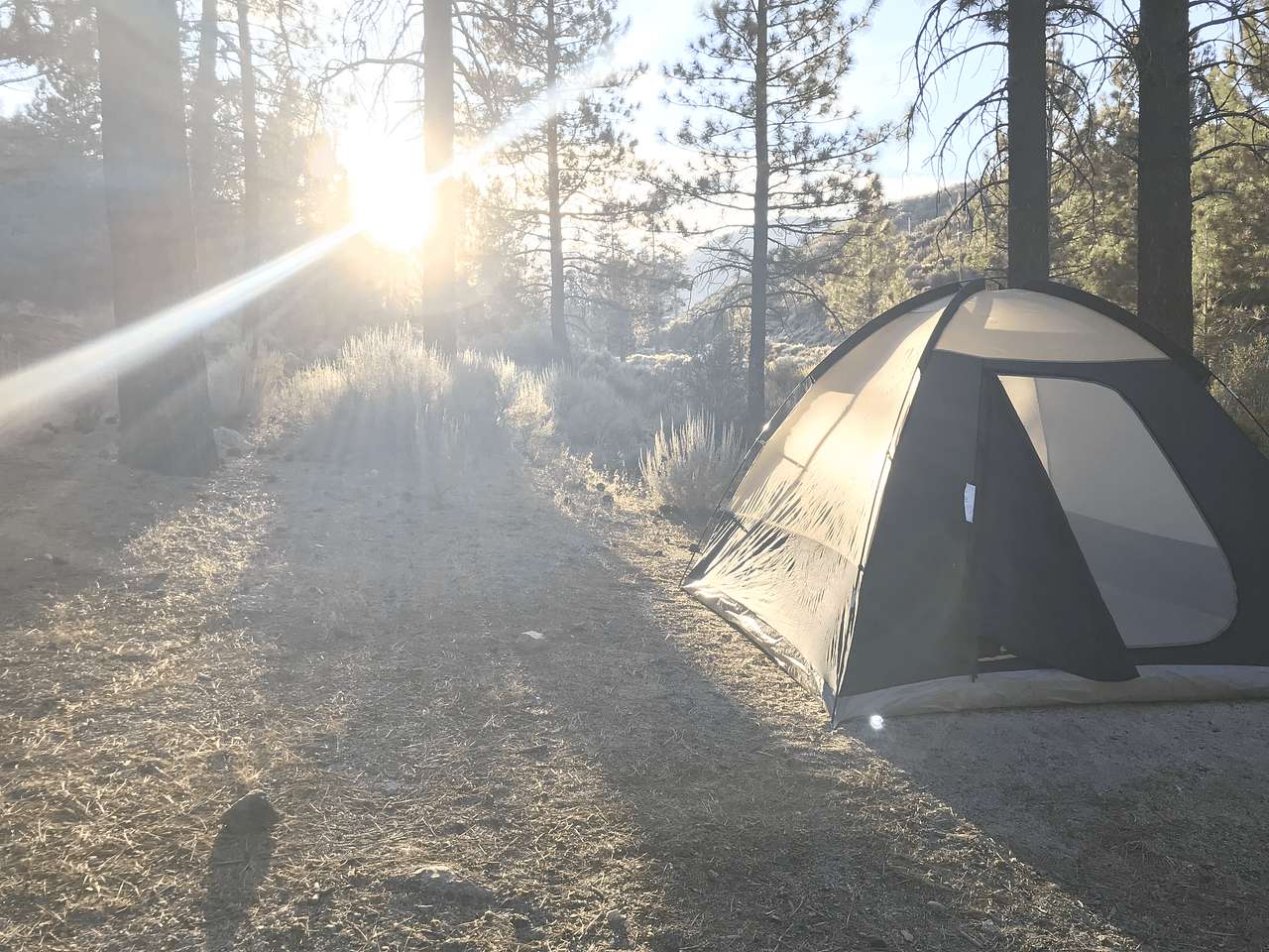 Sulphur Springs Trail Camp