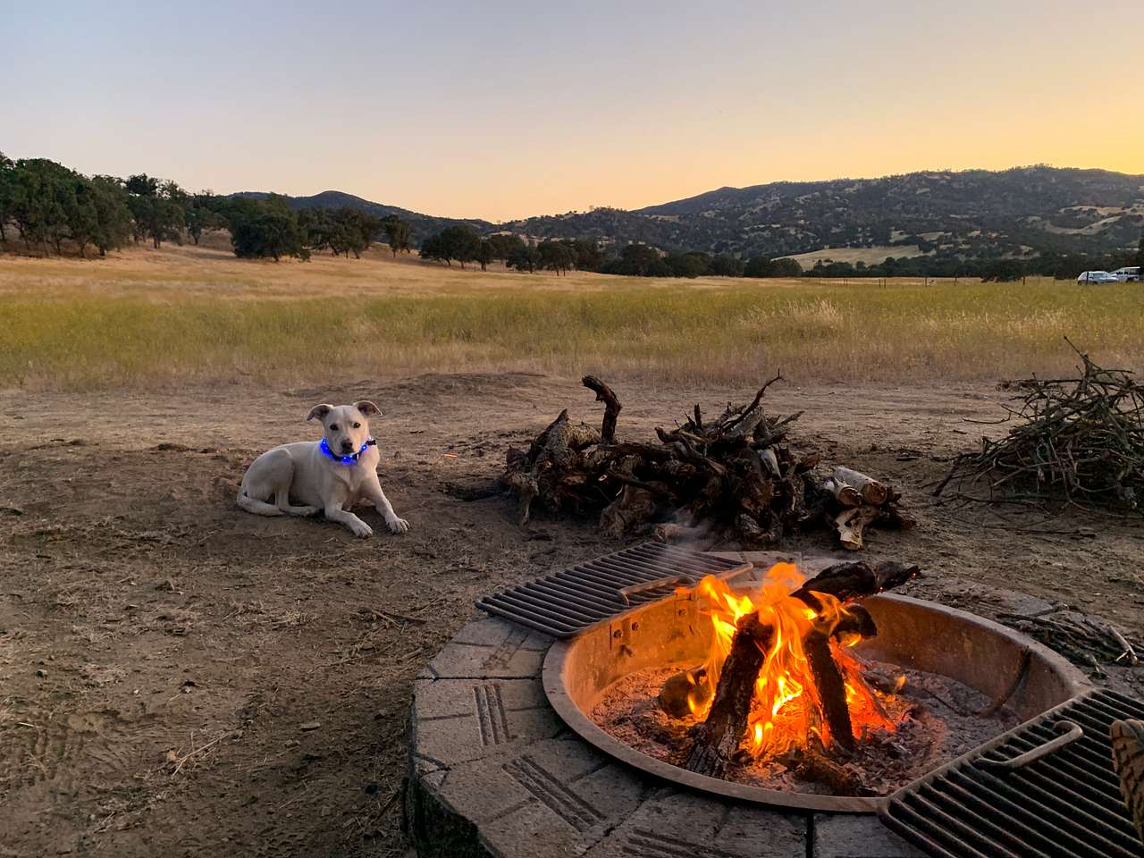 Jack at sunset campsite #4