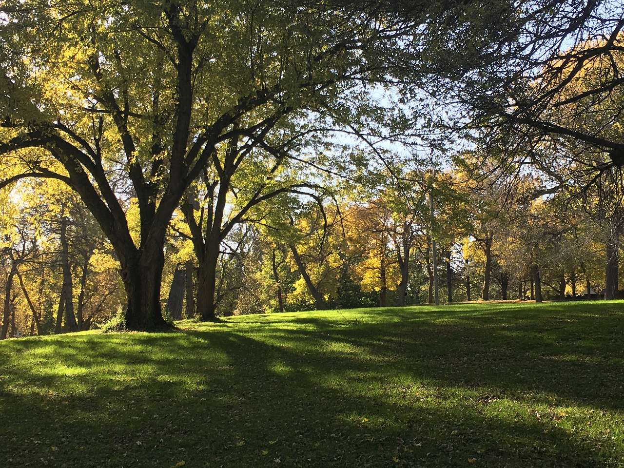 110 acres of property with a variety of wildlife, plant life, and areas to enjoy. 