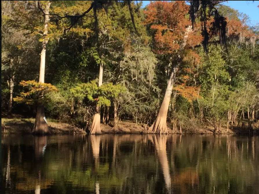 Bowman's Landing
